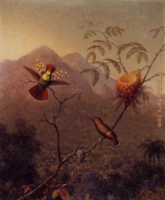 Tufted Coquette painting - Martin Johnson Heade Tufted Coquette art painting